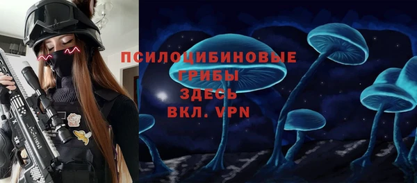 прущие грибы Чита