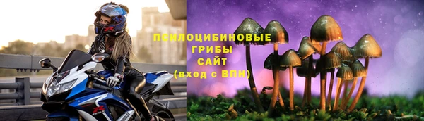 дмт Богородск