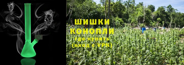 соль ск Нижний Тагил