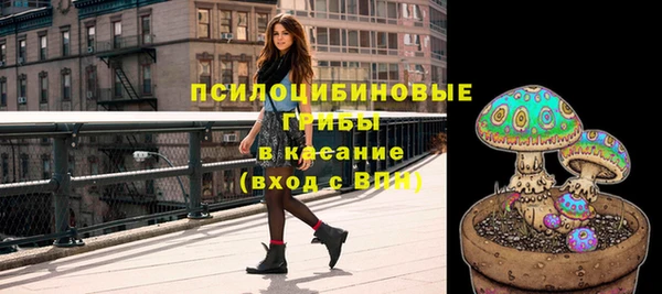 хмурый Богданович