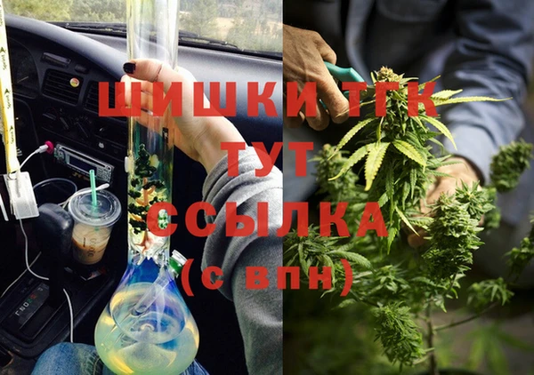 дмт Богородск
